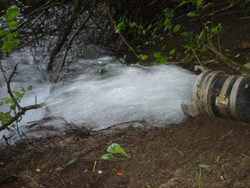 recherche d'eau