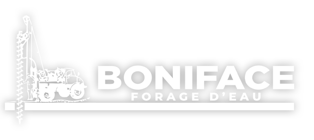 LOGO BONIFACE